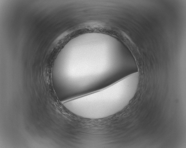X0000081561016200701150954