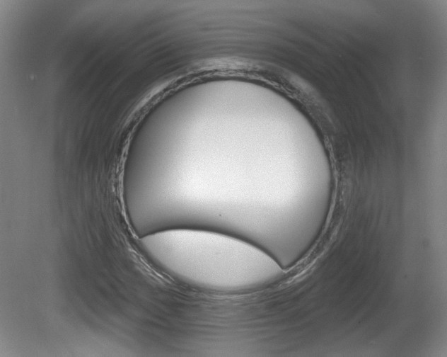 X0000081561017200701150954