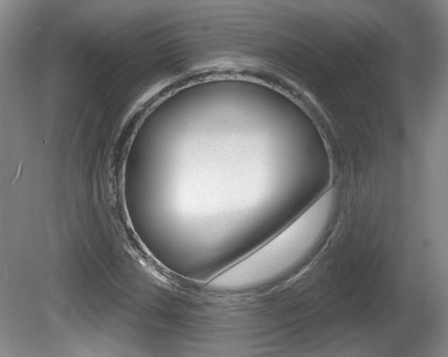 X0000081561018200701150954