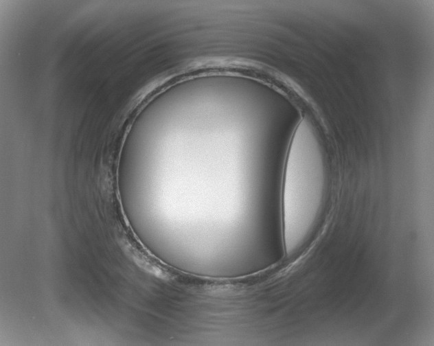X0000081561025200701150954