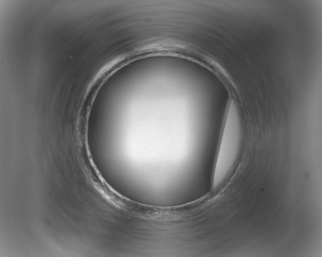 X0000081561026200701150954