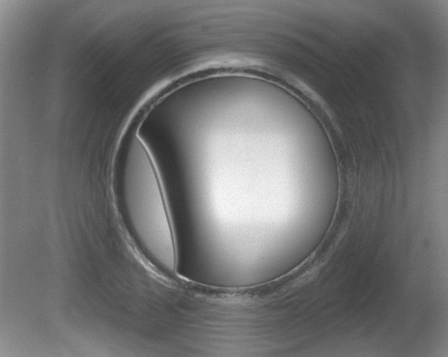 X0000081561029200701150954