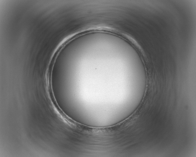 X0000081561032200701150954