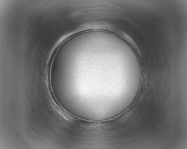 X0000081561035200701150954