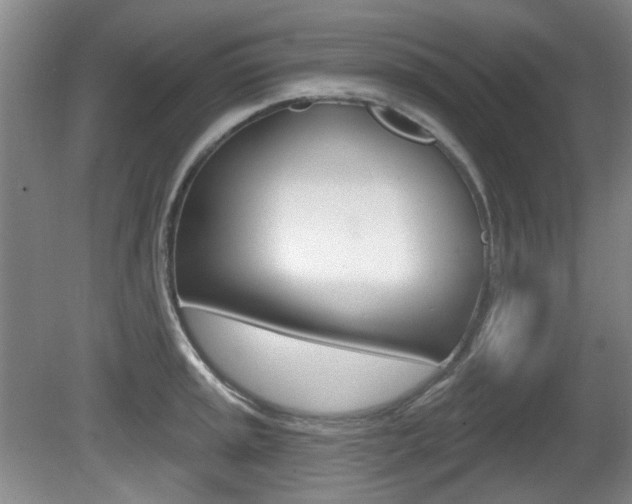 X0000081561045200701150954