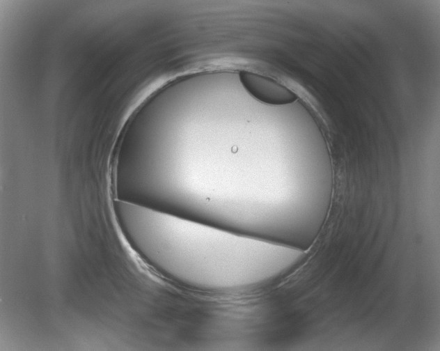 X0000081561047200701150954