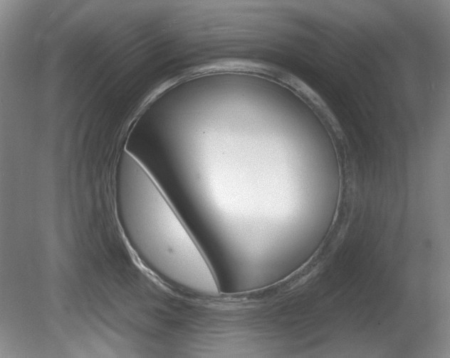 X0000081561049200701150954