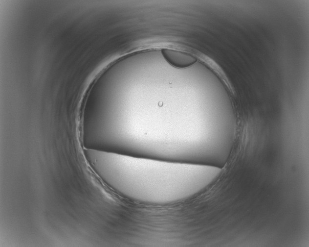 X0000081561051200701150954