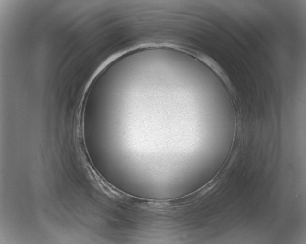 X0000081561052200701150954