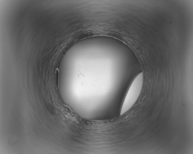 X0000081561057200701150954