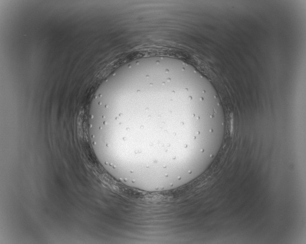 X0000081561059200701150954