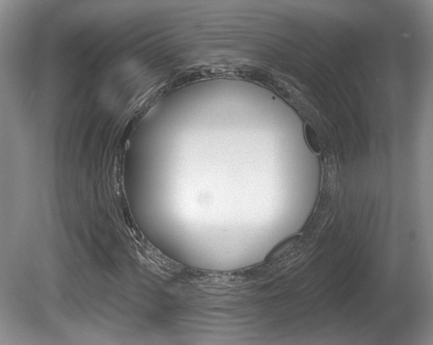 X0000081561060200701150954
