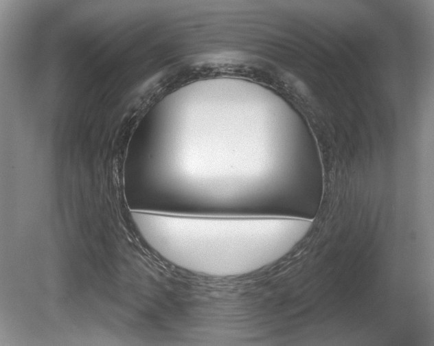 X0000081561062200701150954