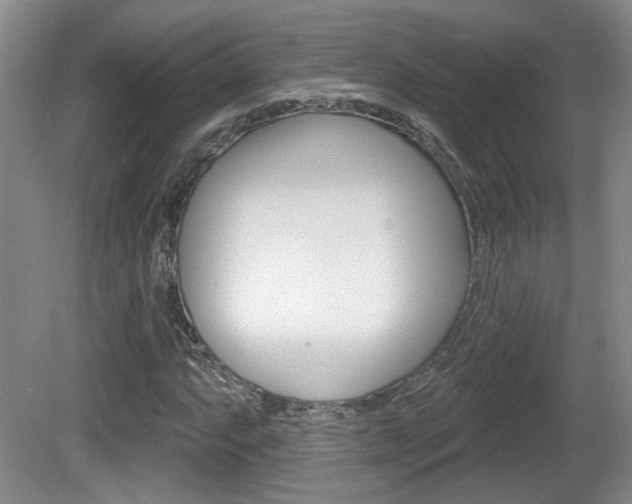 X0000081561063200701150954