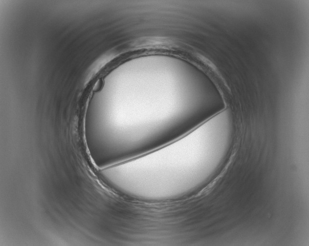 X0000081561066200701150954