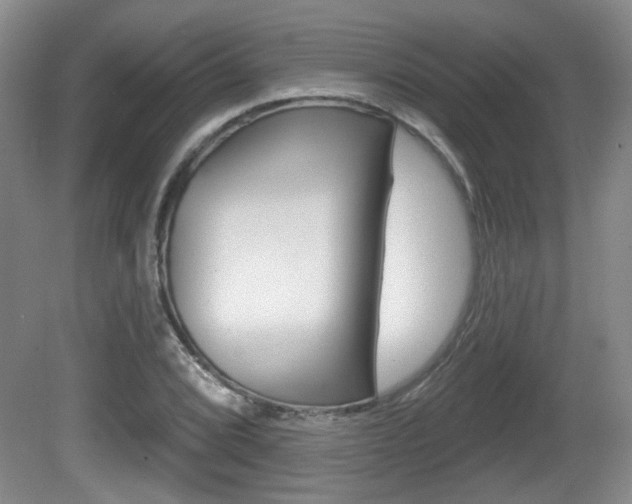 X0000081561072200701150953