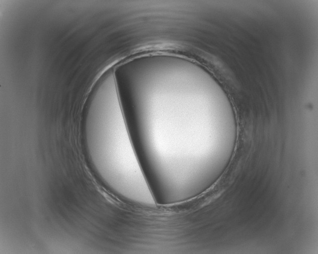 X0000081561073200701150953