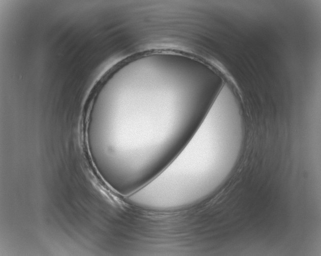 X0000081561076200701150953