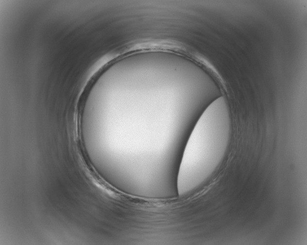 X0000081561079200701150953