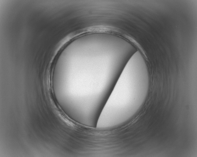 X0000081561083200701150953