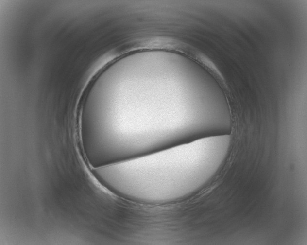 X0000081561087200701150953