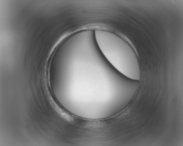X0000081561091200701150953