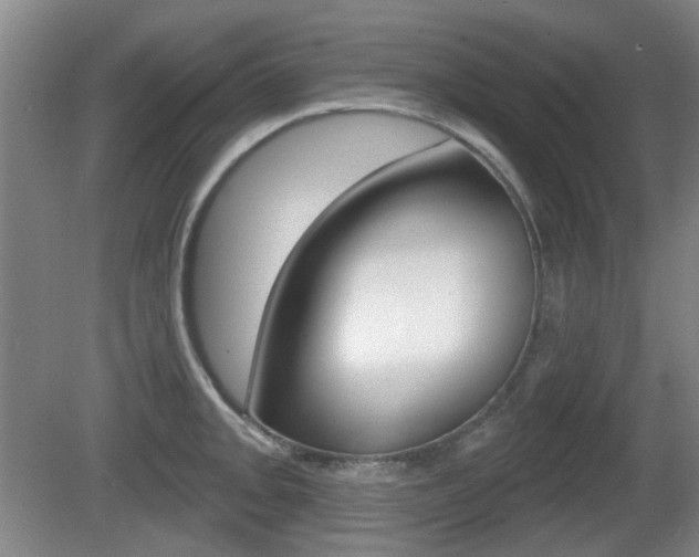 X0000081561093200701150953