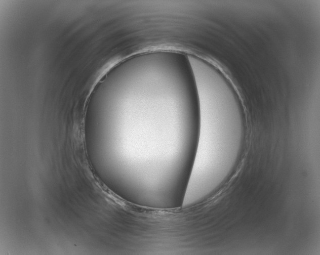 X0000081561097200701150953