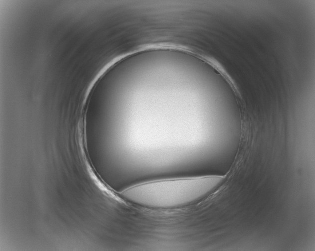 X0000081561100200701150953