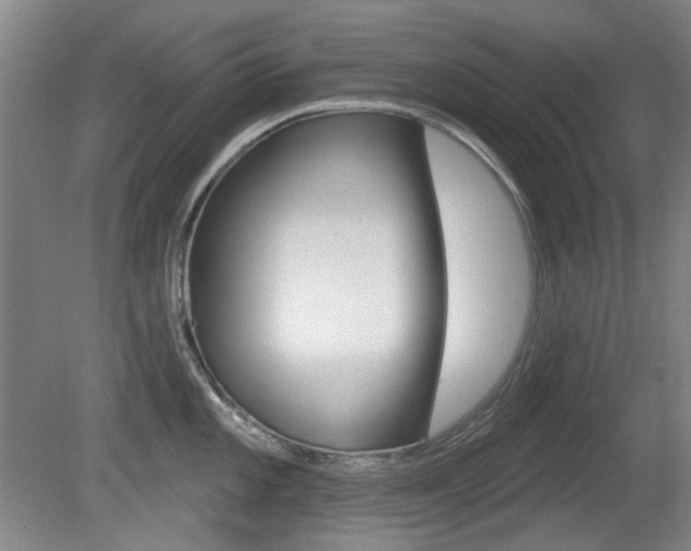 X0000081561101200701150953