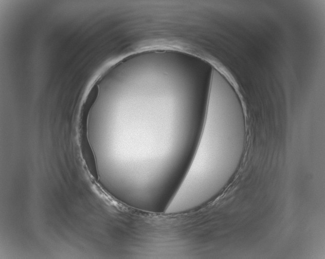 X0000081561104200701150953