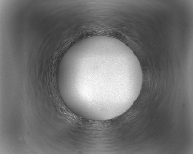 X0000081561105200701150952
