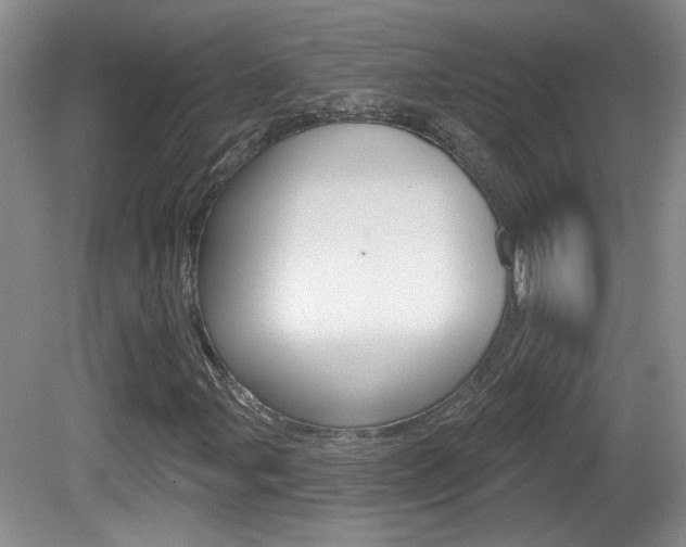 X0000081561107200701150952