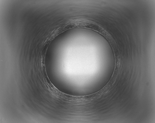 X0000081561108200701150952