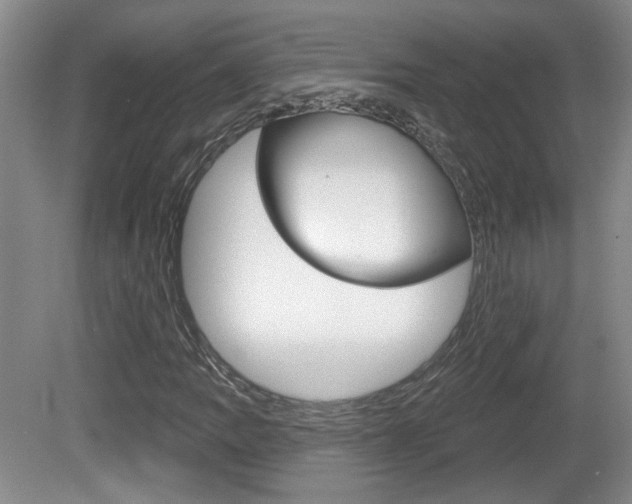 X0000081561109200701150952