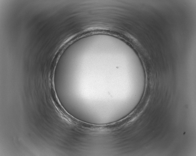 X0000081561113200701150952