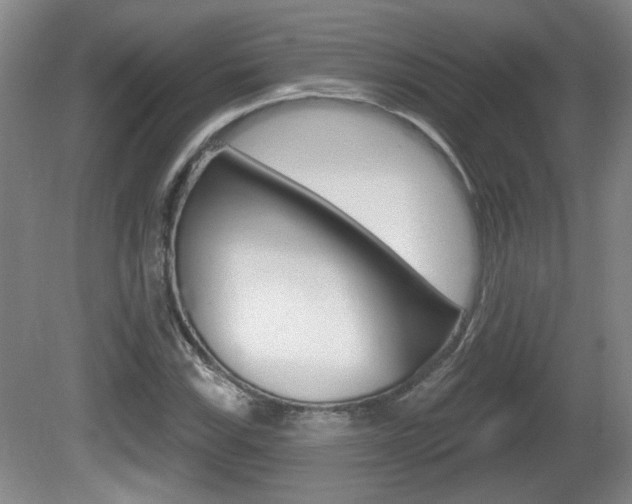 X0000081561115200701150952