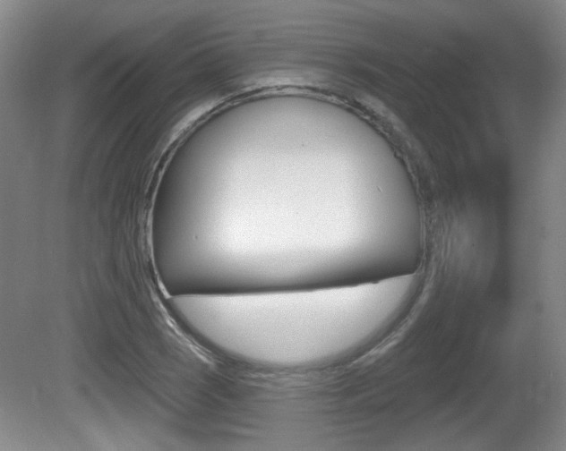 X0000081561121200701150952