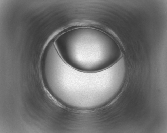 X0000081561122200701150952