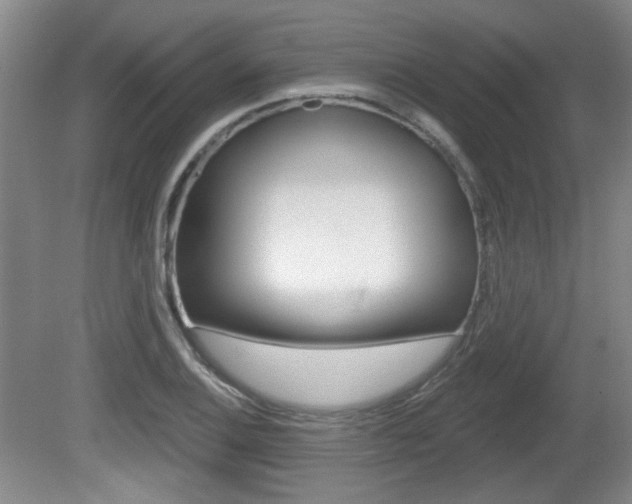 X0000081561124200701150952