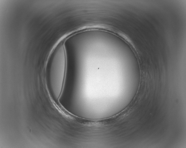 X0000081561127200701150953