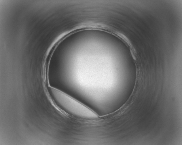 X0000081561128200701150953