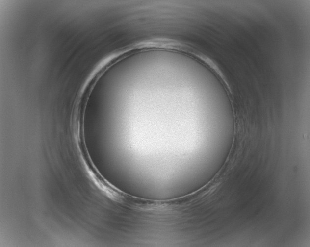 X0000081561131200701150953