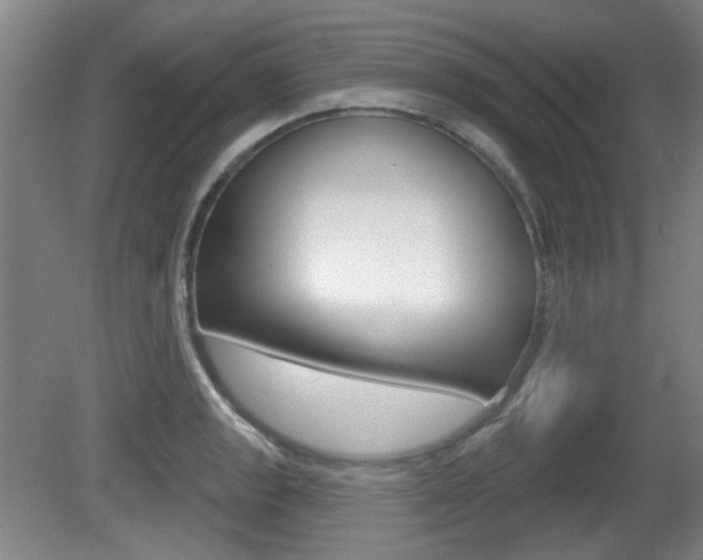 X0000081561133200701150953