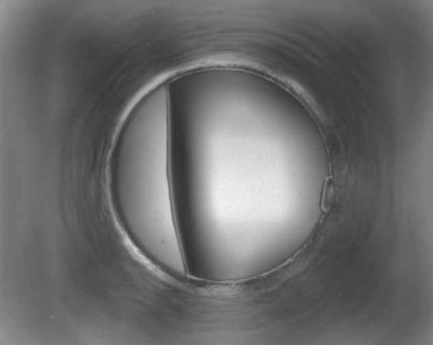 X0000081561134200701150953