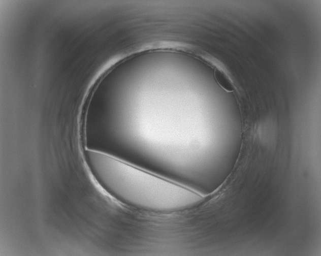 X0000081561135200701150953