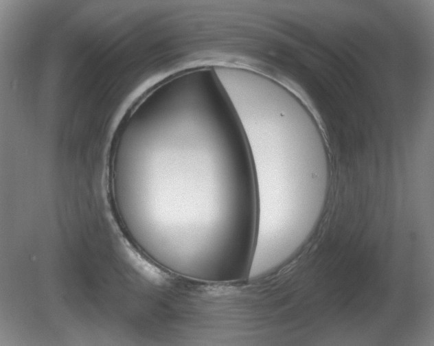 X0000081561136200701150953