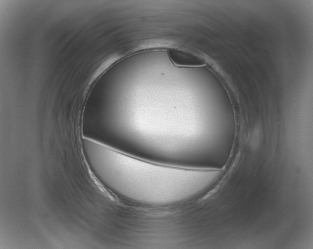 X0000081561137200701150953