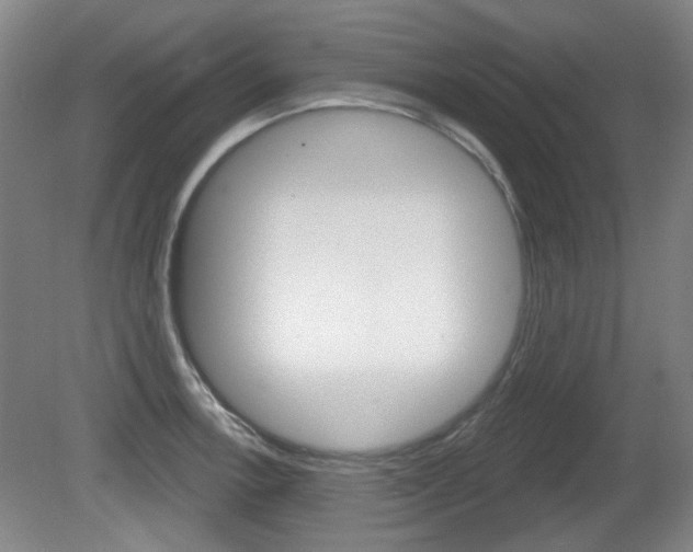 X0000081561138200701150953