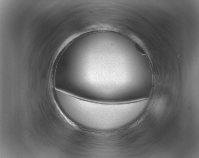 X0000081561141200701150953